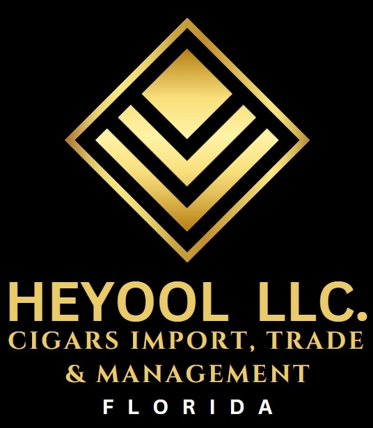 HEYOOL LLC